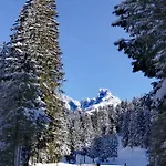 Huette Neuhaus Holiday home Annaberg im Lammertal