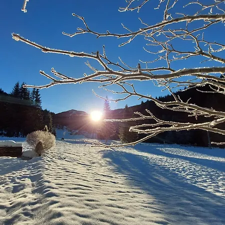 Dom wakacyjny Huette Neuhaus