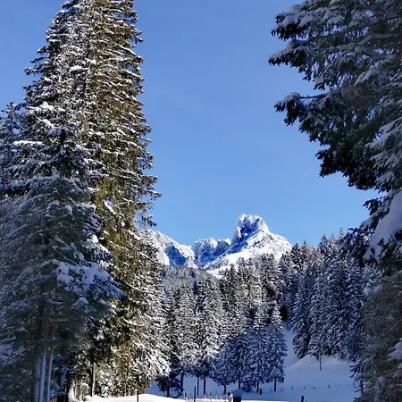 Huette Neuhaus Holiday home Annaberg im Lammertal