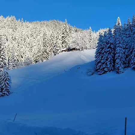 Huette Neuhaus Dom wakacyjny