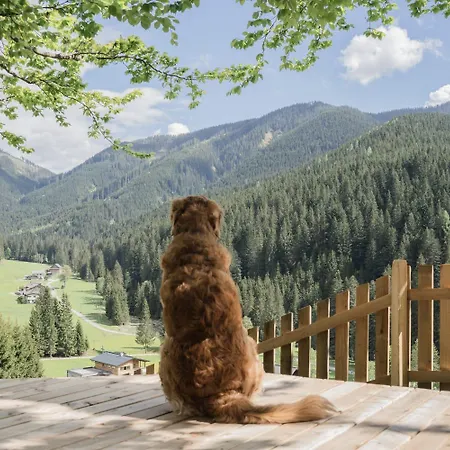 Huette Neuhaus Dom wakacyjny *