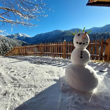 Dom wakacyjny Huette Neuhaus *