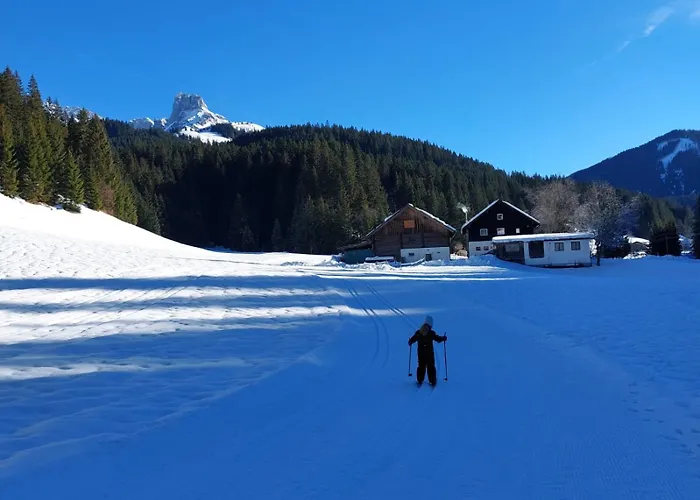 Tatil Evi Huette Neuhaus Annaberg im Lammertal