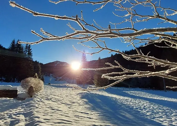 Tatil Evi Huette Neuhaus