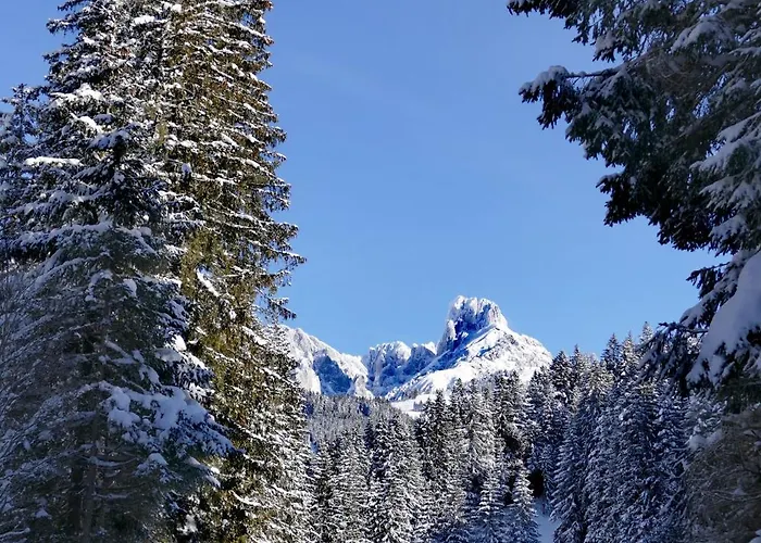 Huette Neuhaus Tatil Evi Annaberg im Lammertal