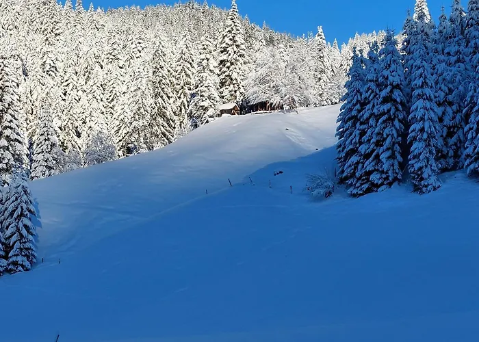 Huette Neuhaus Tatil Evi