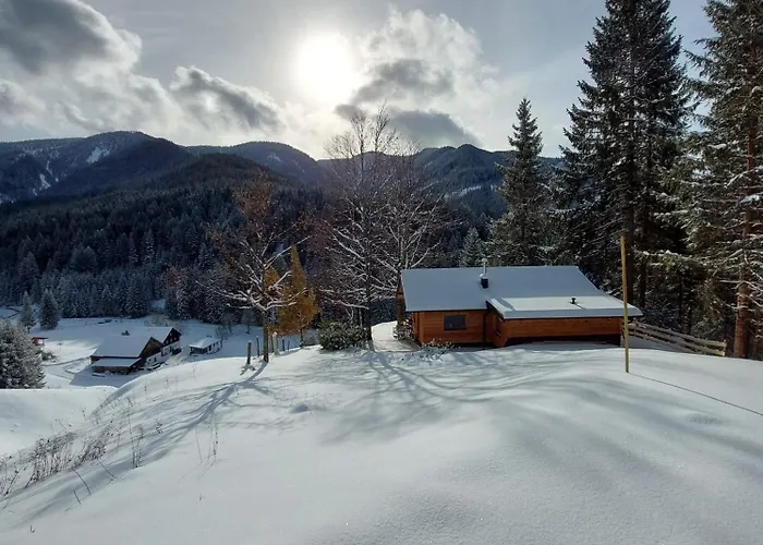 Huette Neuhaus Annaberg im Lammertal