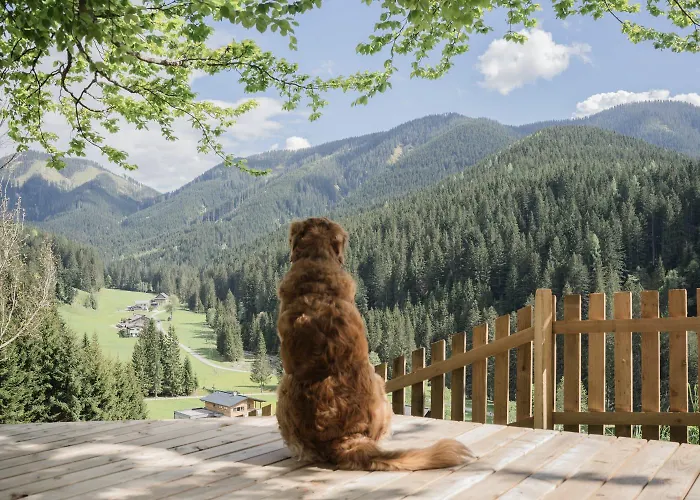 Huette Neuhaus Tatil Evi *