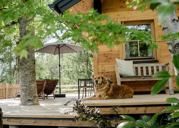 Tatil Evi Huette Neuhaus *