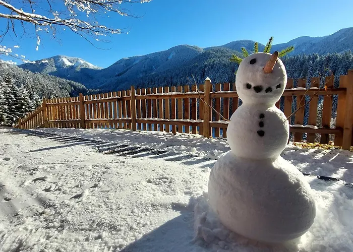 Tatil Evi Huette Neuhaus *